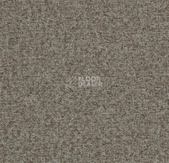 Ковровая плитка Tessera Basis 379 Suede фото 1 | FLOORDEALER